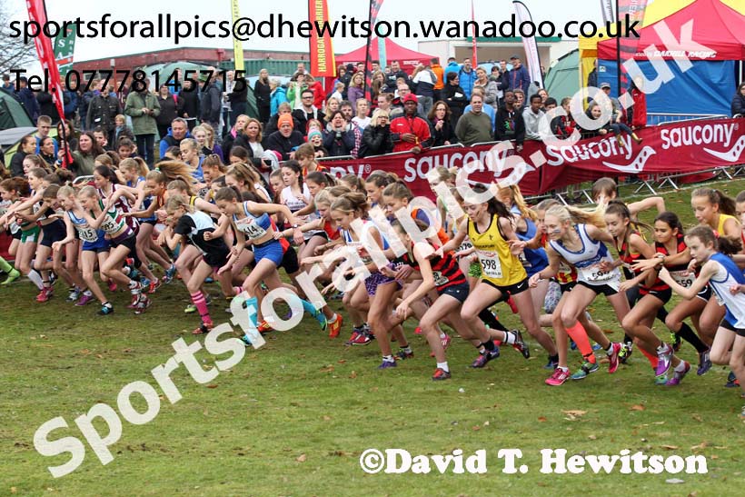 Girls under-13s, National Cross Country Relays, Berry Park, Mansfield. Photo: David T. Hewitson/Sports for All Pics